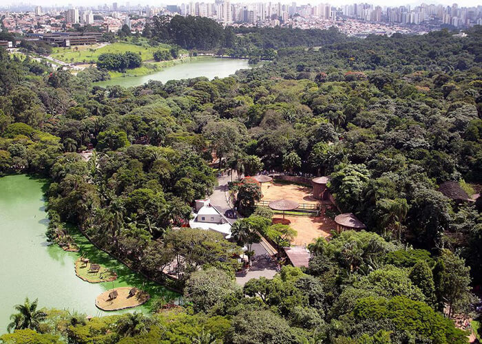 باغ وحش سائوپائولو ( Sao Paulo Zoo )